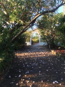 a pathway with leaves on the ground under a tree at Hôtel Paradis in Bormes-les-Mimosas