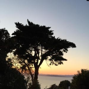a tree in front of the ocean at sunset at Hôtel Paradis in Bormes-les-Mimosas