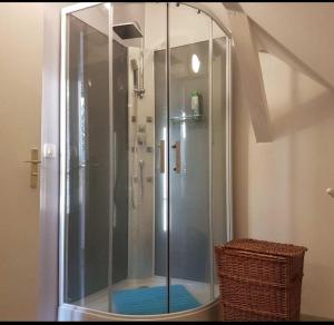 eine Dusche mit Glastür im Bad in der Unterkunft gite La Forêt in Ungersheim