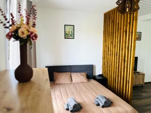 una camera da letto con un letto, un tavolo e un vaso di Apartament Studio BiAn a Timişoara