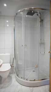 a bathroom with a shower and a toilet at Guest House Perlyna in Verkhovyna