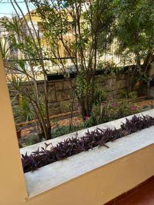 リオデジャネイロにあるCasa Aconchegante-Rio de janeiroの紫色の花と石壁の庭園