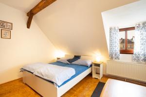Ubytování u Říčky في Benešov nad Černou: غرفة نوم بسرير وملاءات زرقاء ونافذة