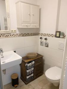 a white bathroom with a toilet and a sink at Gesamte Ferienwohnung Bergblick 6 Pers Balkon Garten Hund Ski Unterkunft Luftkurort Oberreute nähe Buchenegger Wasserfälle Eistobel in Oberreute