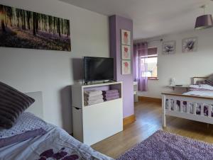 1 dormitorio con 1 cama y TV en un armario en Glynvohr House, en Carryduff