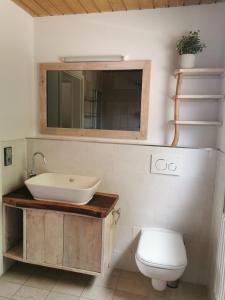 La salle de bains est pourvue d'un lavabo et de toilettes. dans l'établissement Wohnung auf dem Pferdehof, à Mahlberg