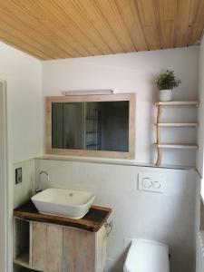 La salle de bains est pourvue d'un lavabo et de toilettes. dans l'établissement Wohnung auf dem Pferdehof, à Mahlberg