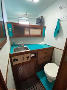 a small bathroom with a toilet and a sink at Bateau Privatisé à la Marina du Marin in Le Marin