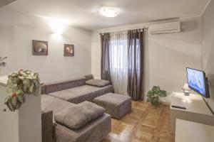 Un televizor și/sau centru de divertisment la Guest Accomodation Žura