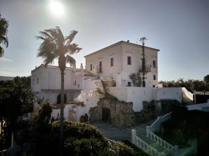 a white building with a palm tree in front of it at Il Trappetello in Monopoli