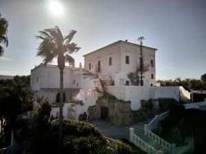 ein weißes Gebäude mit einer Palme davor in der Unterkunft Il Trappetello in Monopoli