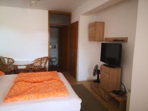 Televízia a/alebo spoločenská miestnosť v ubytovaní Judith Apartment