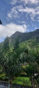 - une vue sur un champ planté de palmiers et de montagnes dans l'établissement AJ Studio Apartment, à Moka