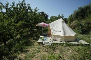 a tent with a chair and an umbrella in a field at Rifugio tra gli alberi in Atri