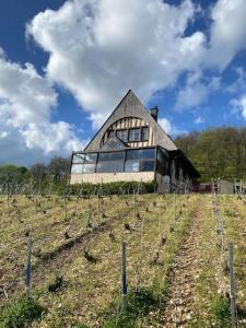 een gebouw in een veld met een wijngaard bij La Teyssière in Bar-sur-Seine