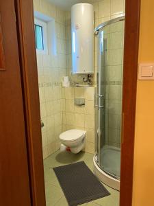 a small bathroom with a toilet and a shower at AGROTURYSTYKA WIOSNA in Wiosna +37 photos