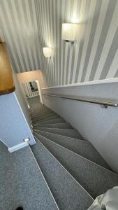 Fotografie z fotogalerie ubytování EFIPA Glamour Apartments v Plzni
