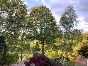 a group of trees behind a fence at Sara Home in Chennevières-sur-Marne