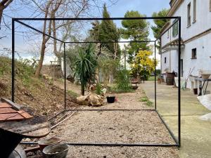 a metal frame around a garden with a dog laying on the ground at Rifugio tra gli alberi in Atri