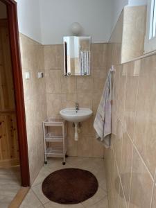 a bathroom with a sink and a mirror at Bieszczadzki Brzeg in Wołkowyja