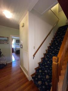 弗雷德里克斯堡Crockett and Creek B&B 1 block to Main St的相册照片