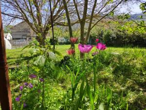 a group of pink flowers in a yard at Le pigeonnier in Millau +5 photos