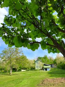 uma casa no meio de um campo com uma árvore em Baranja green peace em Draž