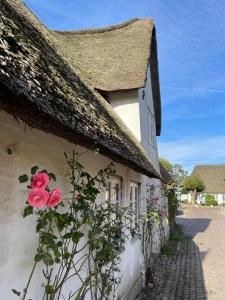 a white building with a thatched roof with pink roses at Kapitänshaus von 1712 - neu saniert in Nieblum