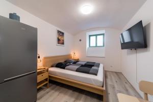 a bedroom with a bed and a flat screen tv at Apartments Borivojova 63 in Prague
