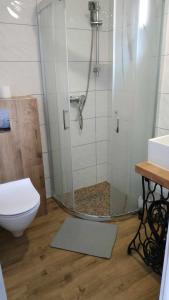 a bathroom with a shower and a toilet at Domek z kominkiem, Ukta 63, Mazury, in Ruciane-Nida