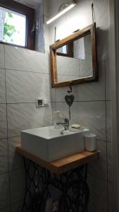 a bathroom with a sink and a mirror at Domek z kominkiem, Ukta 63, Mazury, in Ruciane-Nida