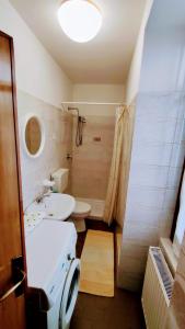 Koupelna v ubytování Casa Affitto Daone