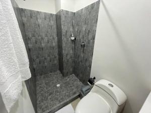 La petite salle de bains est pourvue d'une douche et de toilettes. dans l'établissement Apartaloft en el centro 104, à Pereira