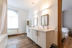 bagno con lavandino e specchio di 3 bedrooms apartement with enclosed garden and wifi at Bruxelles a Bruxelles