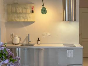 una cocina con fregadero y encimera en CLASSICO by CASAROSA Český Krumlov, en Český Krumlov