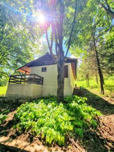 a white building with a tree in front of it at Къмпинг и Бунгала Брусен Хил - Camping and Bungalows Brusen Hill in Brusen