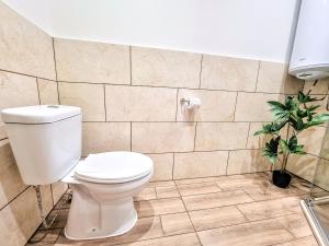 a bathroom with a toilet and a potted plant at Къмпинг и Бунгала Брусен Хил - Camping and Bungalows Brusen Hill 