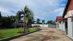 a palm tree in a yard next to a building at Artem Apartments - Apartment 1 in Kitwe