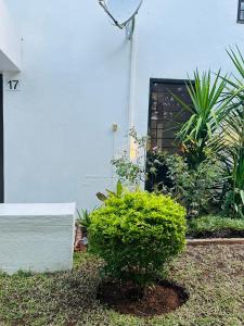 uma casa branca com plantas à frente em Village17 em Gaborone