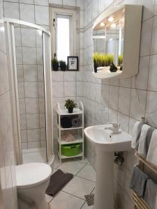 een badkamer met een wastafel, een douche en een toilet bij Hostello - przytulne pokoje, mieszkanie rodzinne in Bolesławiec