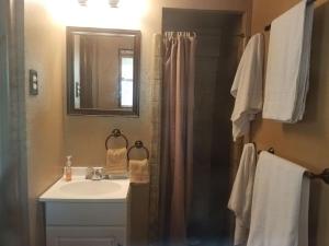 y baño con lavabo y ducha con espejo. en Comfy Spacious Private Room 1 with Attached Bath, en Dallas