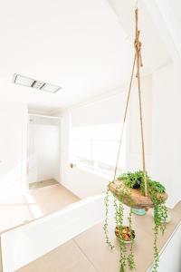 una planta colgante en una habitación con bañera en Mortimer's Wines Loft - Adults Only Retreat, en Orange