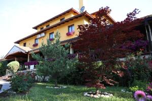 Taman di luar Hotel Borkovac