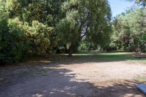 un parque con un árbol y un campo de tierra en Bultje Cottage - Walk to CBD, Pet Friendly en Dubbo