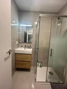 a bathroom with a shower and a sink at Apartamento León céntrico, moderno y muy equipado in Almansa +20 photos