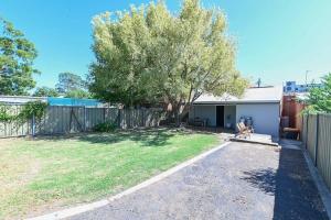 a backyard with a tree and a fence at Tamworth Retreat - Sleek & Stylish, Sleeps 5 in Dubbo