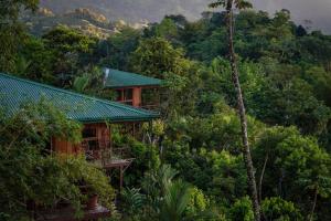 a house in the middle of a forest at Santa Juana Lodge & Nature Reserve in Quepos