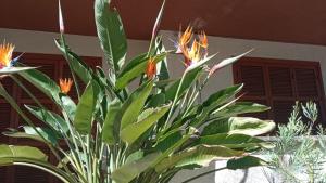 A garden outside Giustina - appartamento spazioso e tranquillo - parcheggio privato per BICI e auto - su richiesta ammessi animali