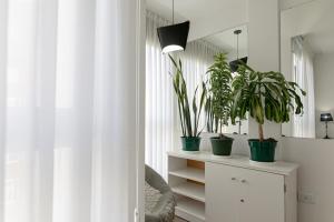 a room with potted plants on a dresser and a mirror at Jion in Mar del Plata