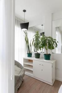 a room with potted plants on a white dresser at Jion in Mar del Plata